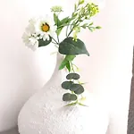 Bbolbia - Bed & Breakfast Olbia