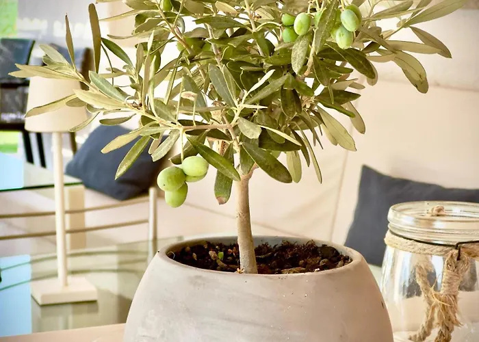 Bbolbia - Bed & Breakfast Olbia